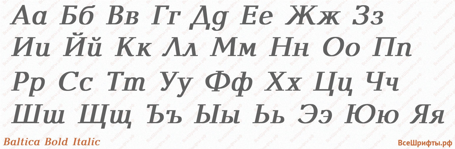 Шрифт Baltica Bold Italic с русскими буквами