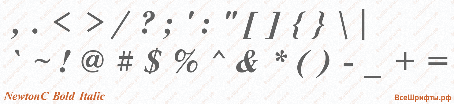 Шрифт NewtonC Bold Italic со знаками препинания и пунктуации