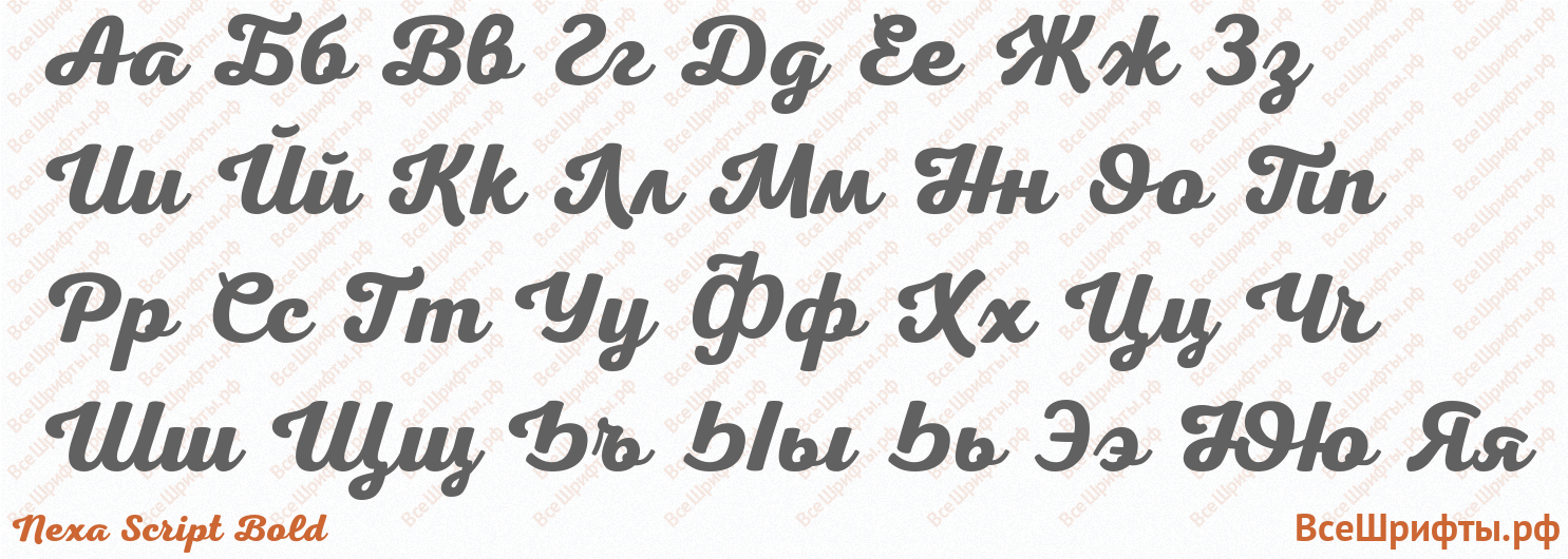 Шрифт Nexa Script Bold с русскими буквами