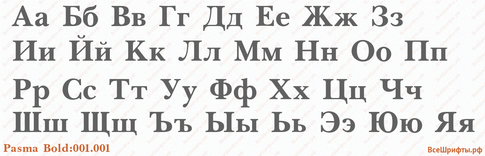 Шрифт Pasma Bold:001.001 с русскими буквами