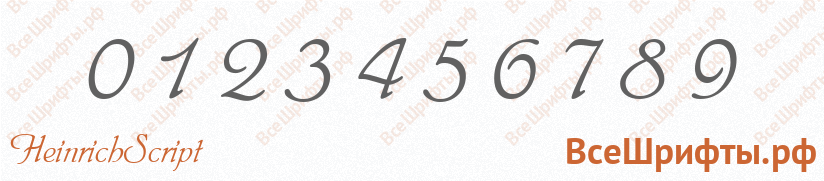 Шрифт HeinrichScript с цифрами