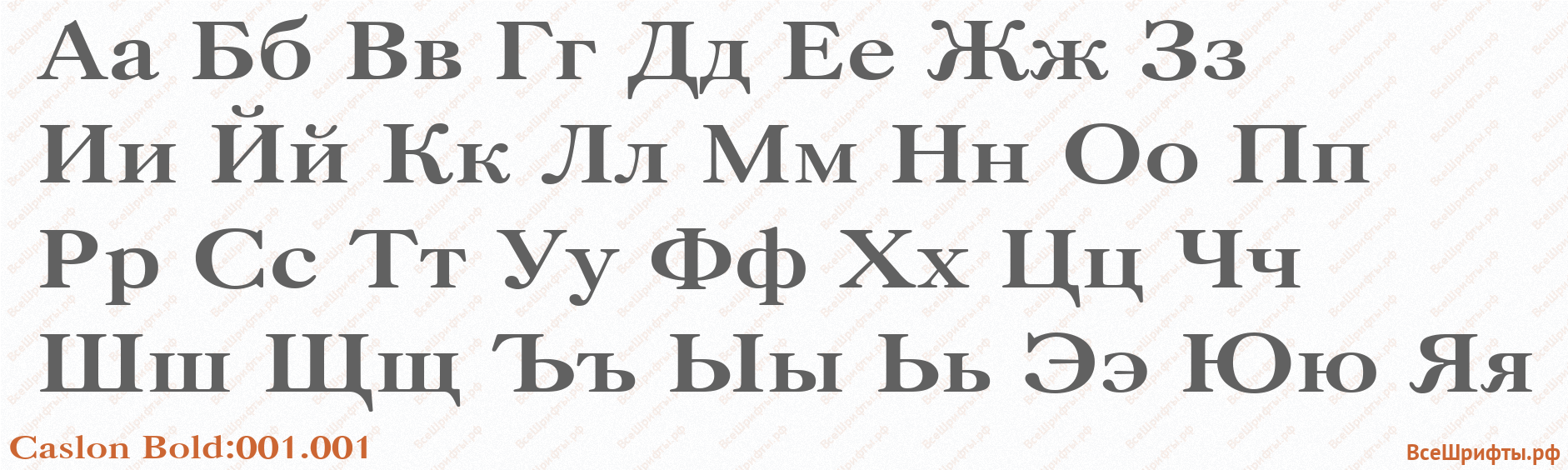 Шрифт Caslon Bold:001.001 с русскими буквами