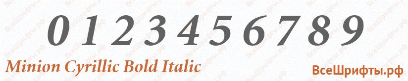 Шрифт Minion Cyrillic Bold Italic с цифрами