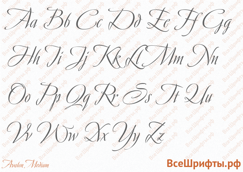 Шрифт Avalon Medium с латинскими буквами