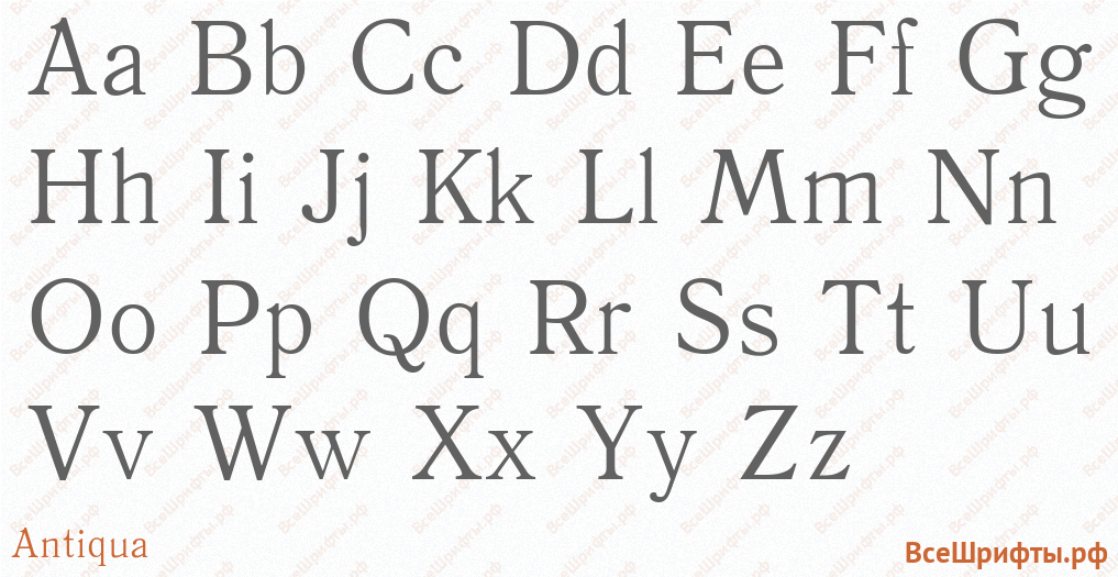 Шрифт Antiqua с латинскими буквами