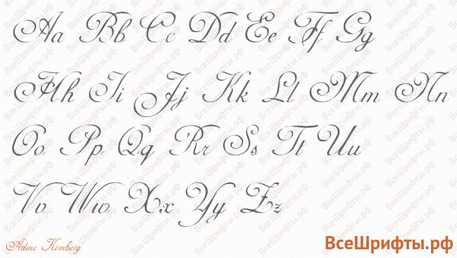 Шрифт Adine Kirnberg с латинскими буквами