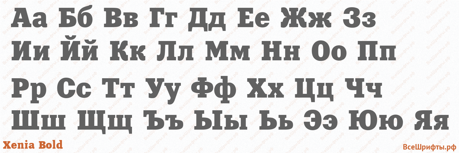 Шрифт Xenia Bold с русскими буквами
