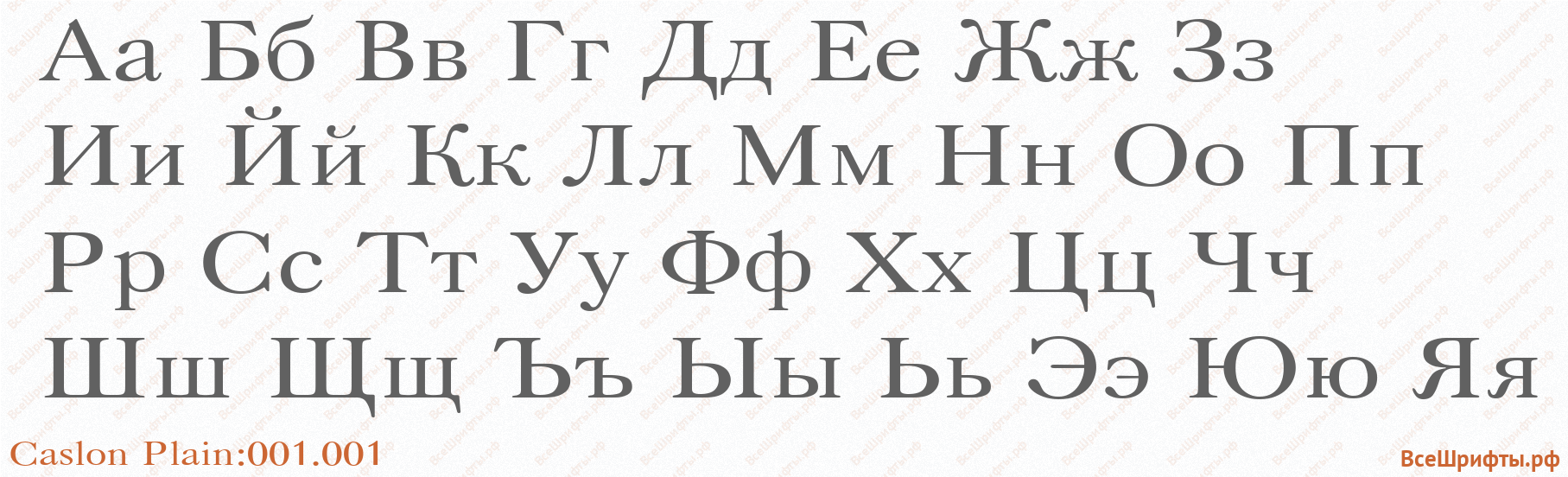 Шрифт Caslon Plain:001.001 с русскими буквами