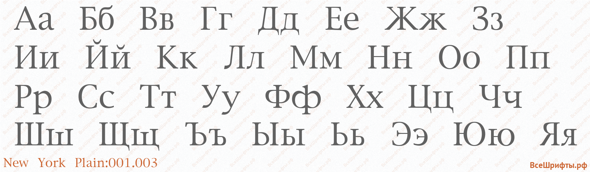 Шрифт New York Plain:001.003 с русскими буквами