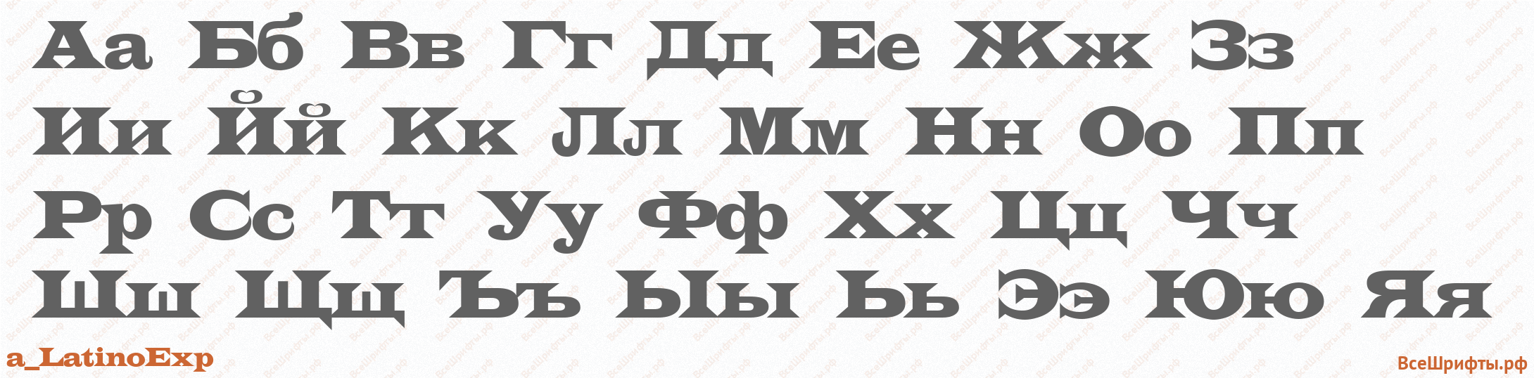 Шрифт a_LatinoExp с русскими буквами