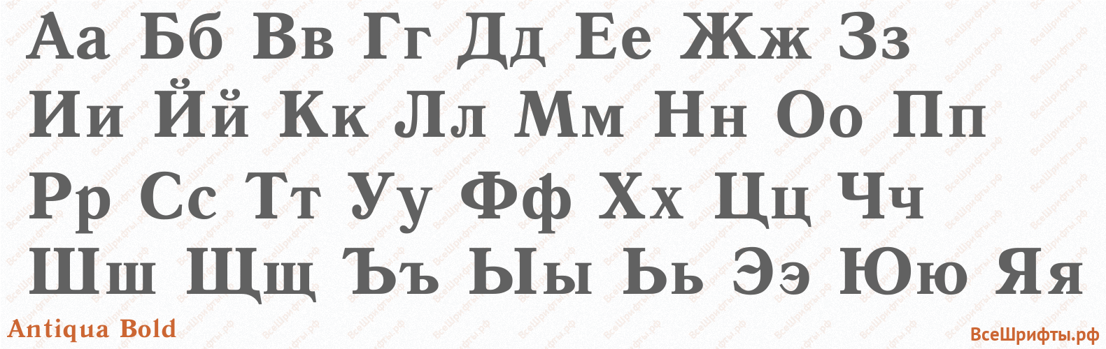 Шрифт Antiqua Bold с русскими буквами