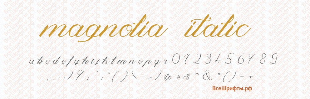 Шрифт Magnolia Italic