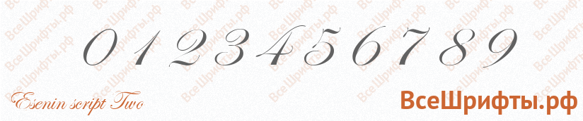Шрифт Esenin script Two с цифрами