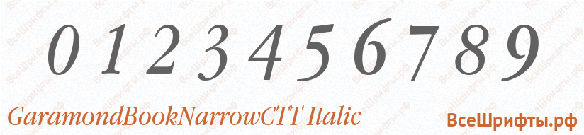 Шрифт GaramondBookNarrowCTT Italic с цифрами