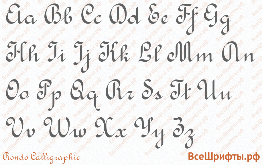 Шрифт Rondo Calligraphic с латинскими буквами