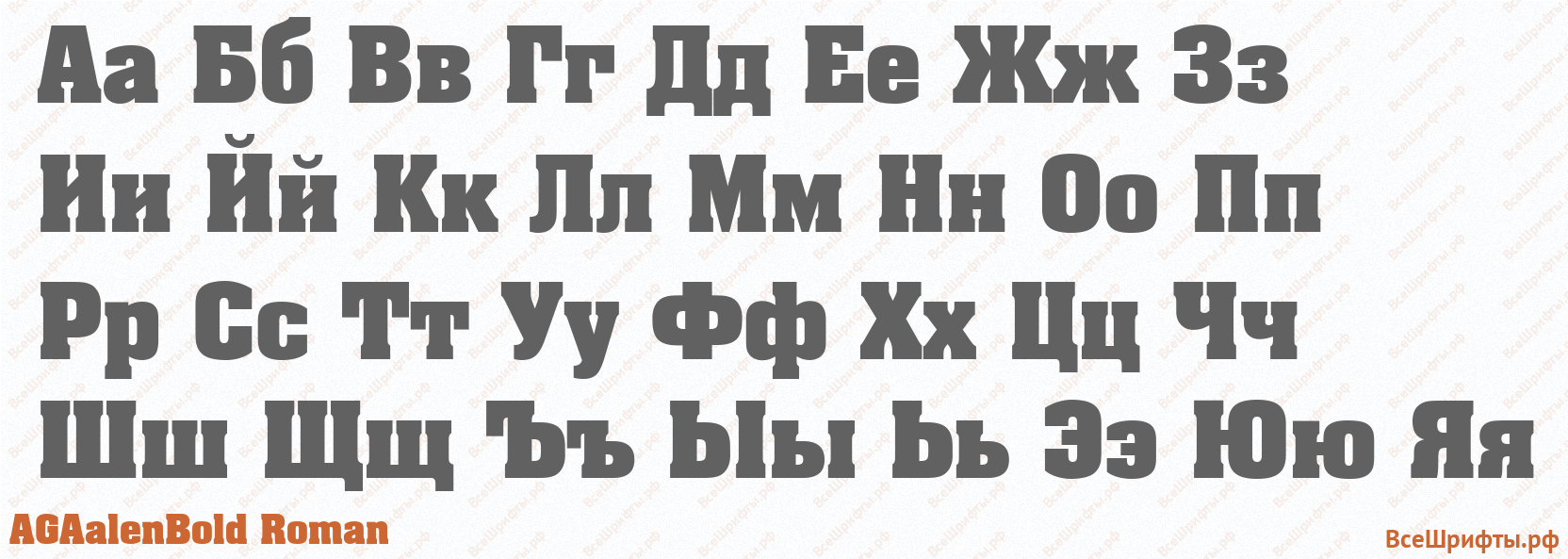 Шрифт AGAalenBold Roman с русскими буквами