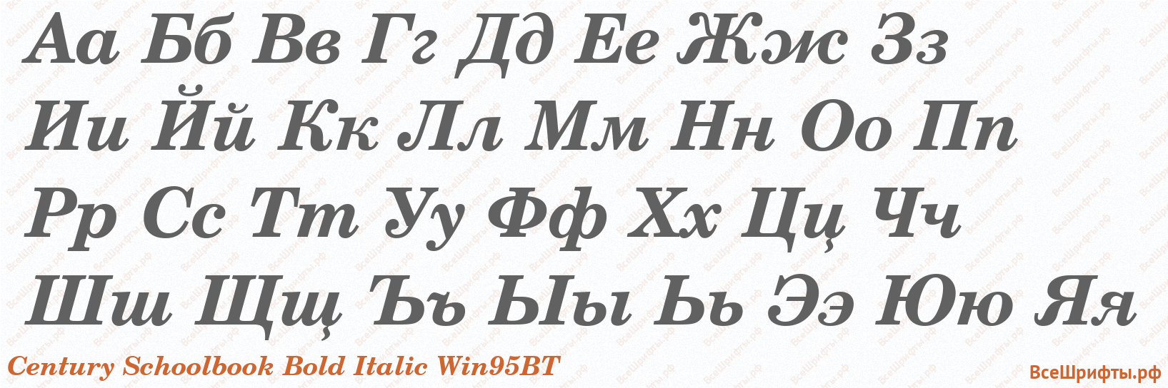 Шрифт Century Schoolbook Bold Italic Win95BT с русскими буквами