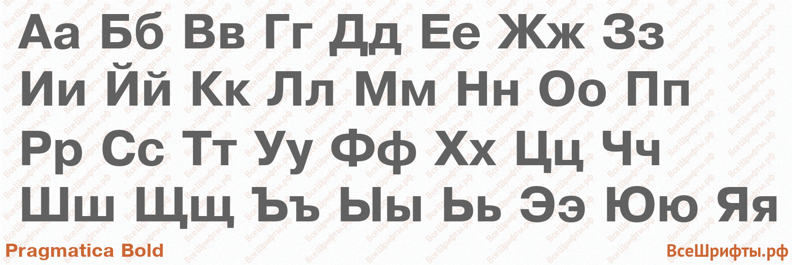 Шрифт Pragmatica Bold с русскими буквами