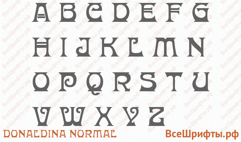 Шрифт Donaldina Normal с латинскими буквами