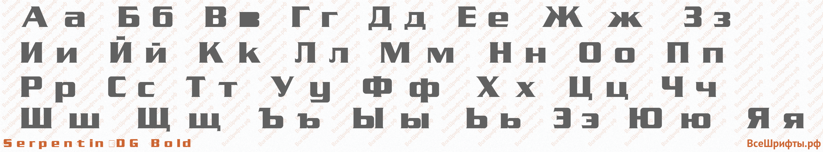 Шрифт Serpentin_DG Bold с русскими буквами
