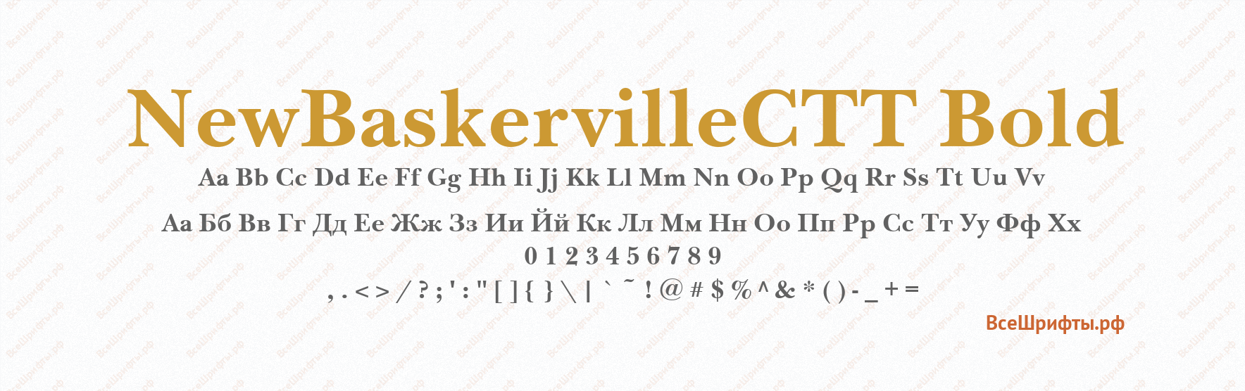 Шрифт NewBaskervilleCTT Bold