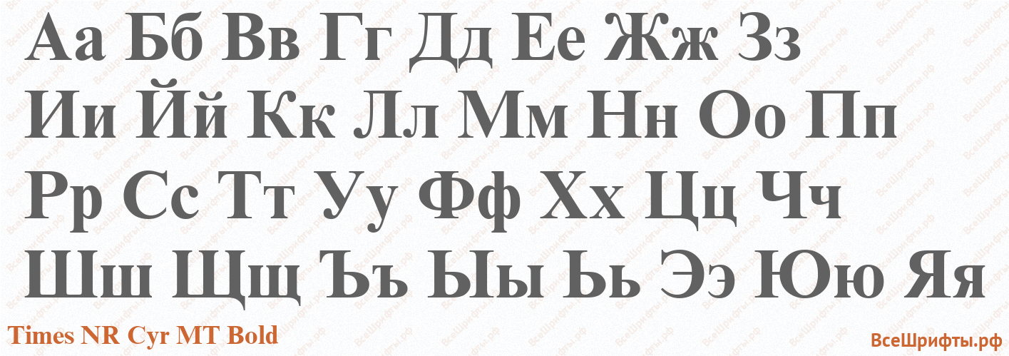 Шрифт Times NR Cyr MT Bold с русскими буквами