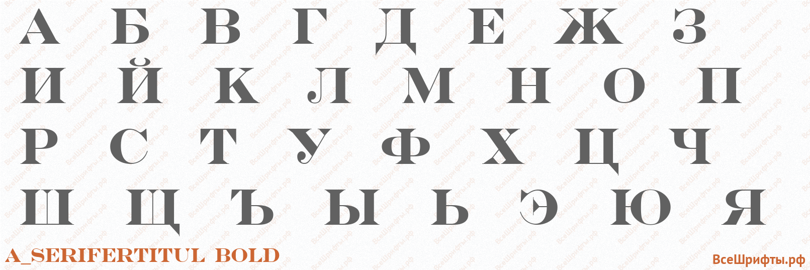 Шрифт a_SeriferTitul Bold с русскими буквами
