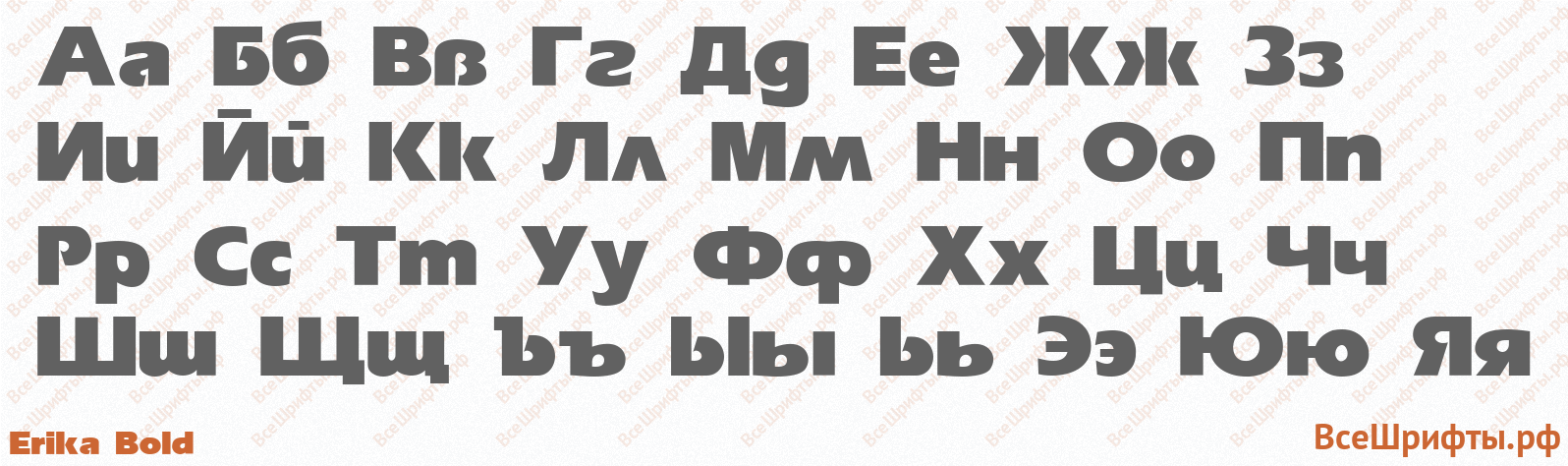 Шрифт Erika Bold с русскими буквами