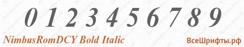 Шрифт NimbusRomDCY Bold Italic с цифрами