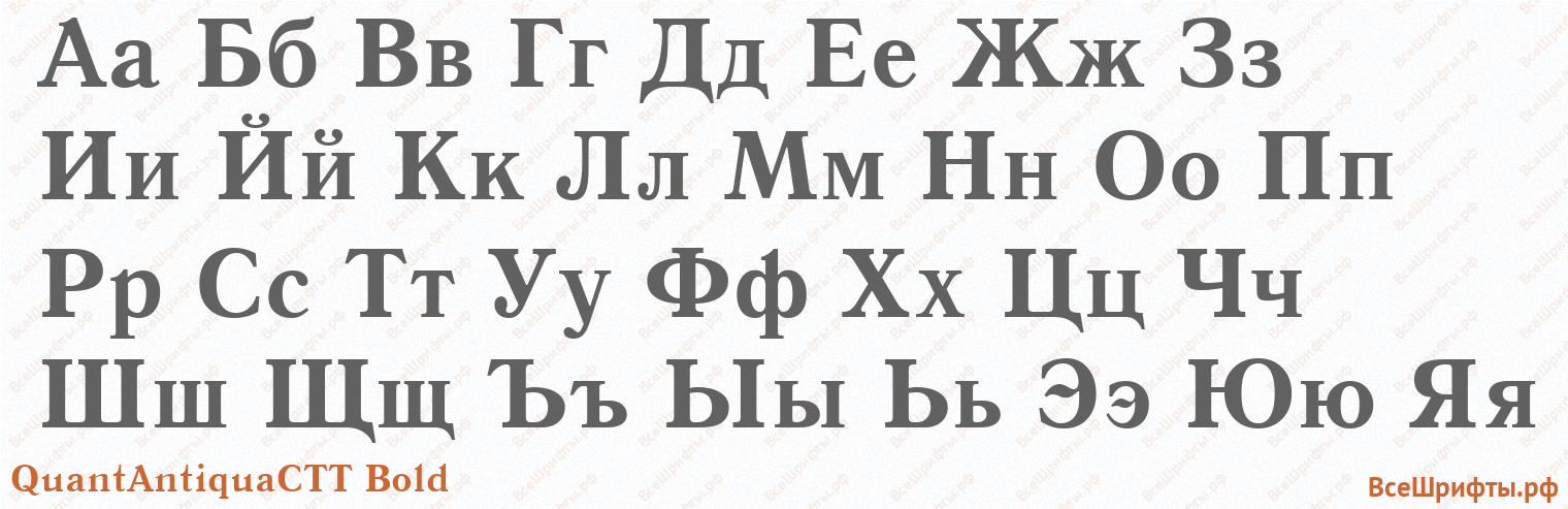 Шрифт QuantAntiquaCTT Bold с русскими буквами