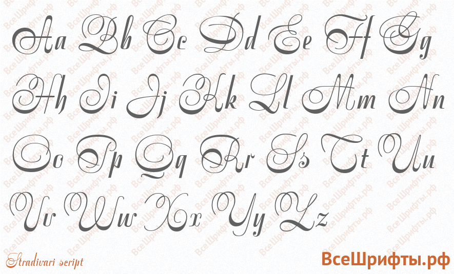 Шрифт Stradivari script с латинскими буквами