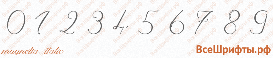 Шрифт Magnolia Italic с цифрами
