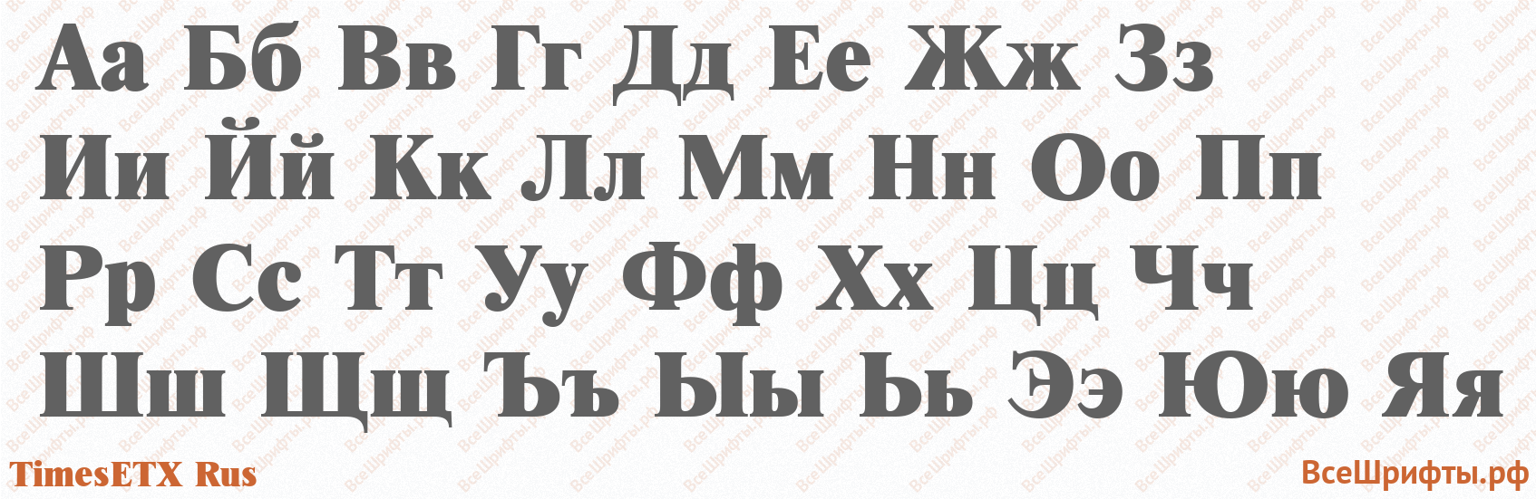 Шрифт TimesETX Rus с русскими буквами