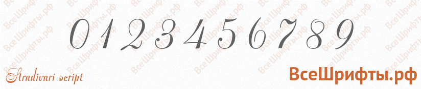 Шрифт Stradivari script с цифрами
