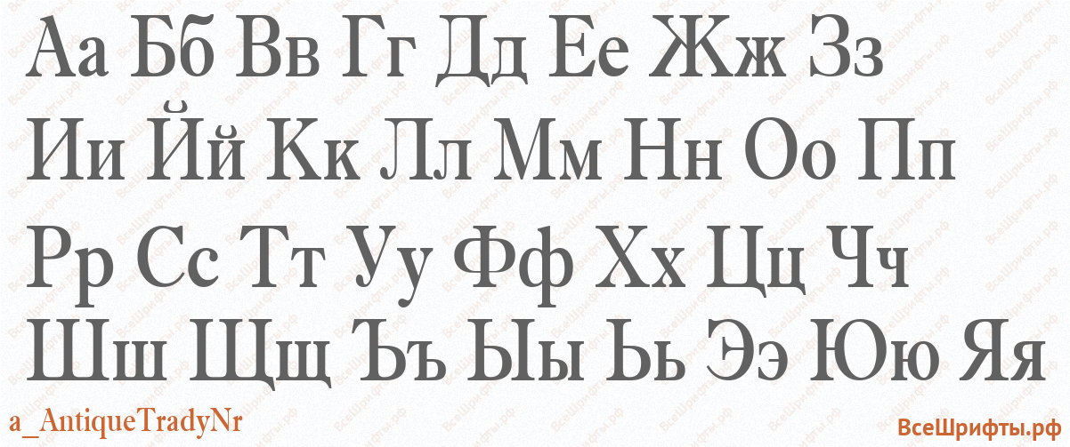 Шрифт a_AntiqueTradyNr с русскими буквами