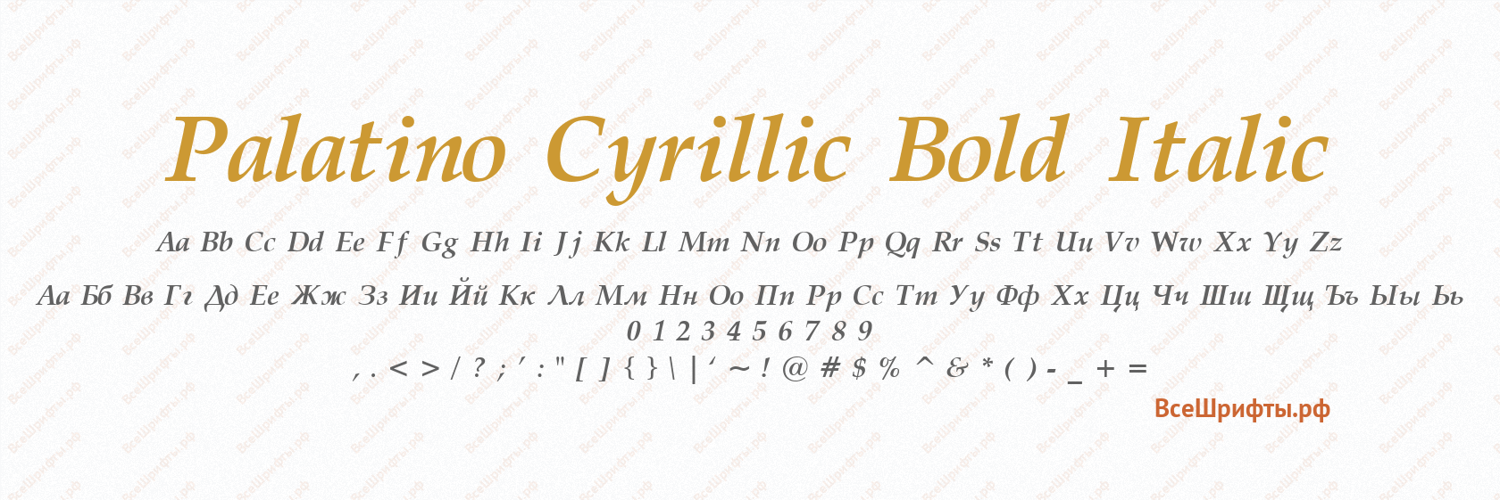 Шрифт Palatino Cyrillic Bold Italic