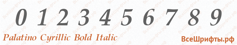 Шрифт Palatino Cyrillic Bold Italic с цифрами
