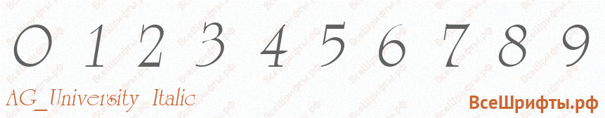 Шрифт AG_University Italic с цифрами