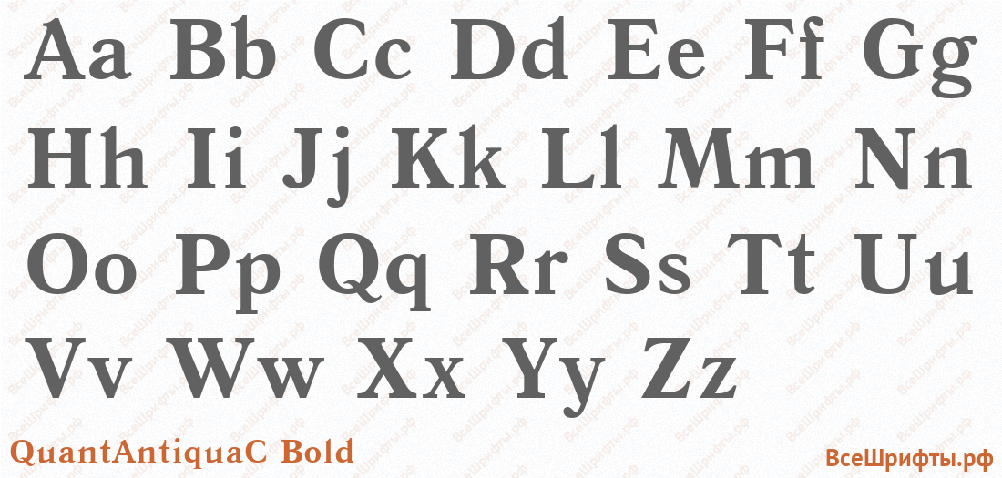 Шрифт QuantAntiquaC Bold с латинскими буквами