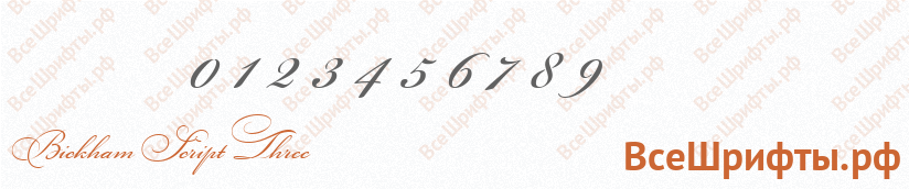Шрифт Bickham Script Three с цифрами