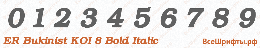 Шрифт ER Bukinist KOI 8 Bold Italic с цифрами