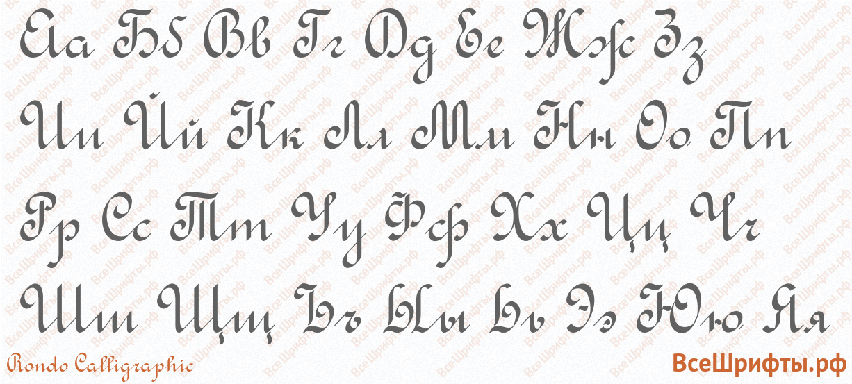 Шрифт Rondo Calligraphic с русскими буквами